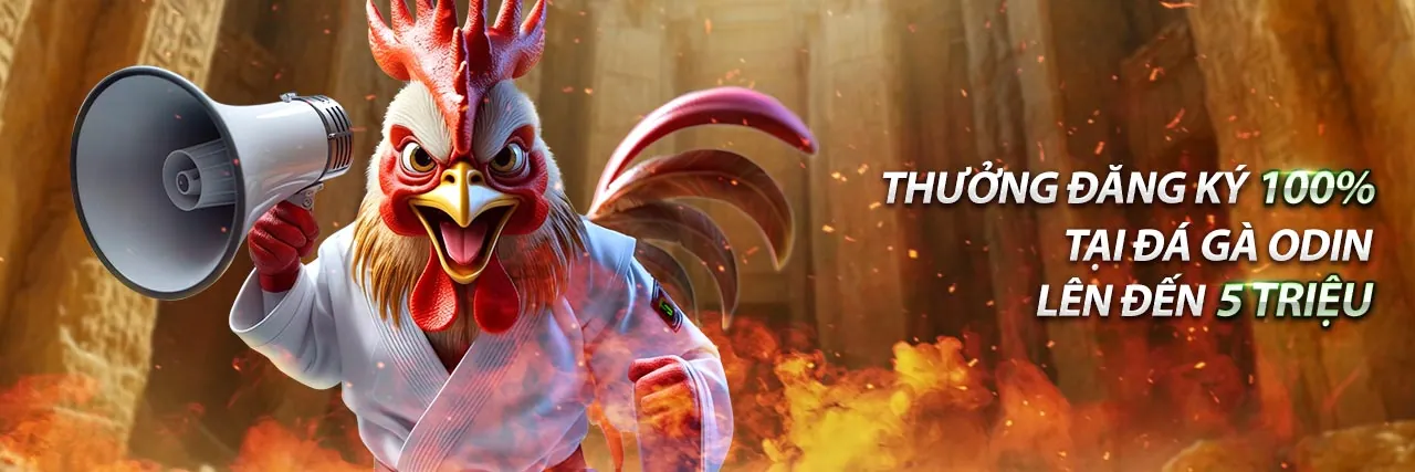 Hình ảnh nền Câu Hỏi Thường Gặp s666111